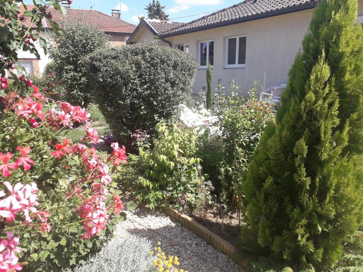 O Bout D'La Motte Apartman Voillecomte Kültér fotó